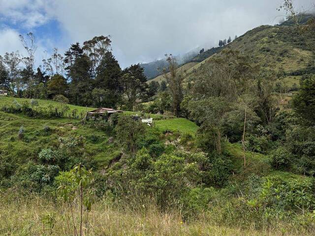 #TR0024 - Terreno para Venta en Quito - P - 3