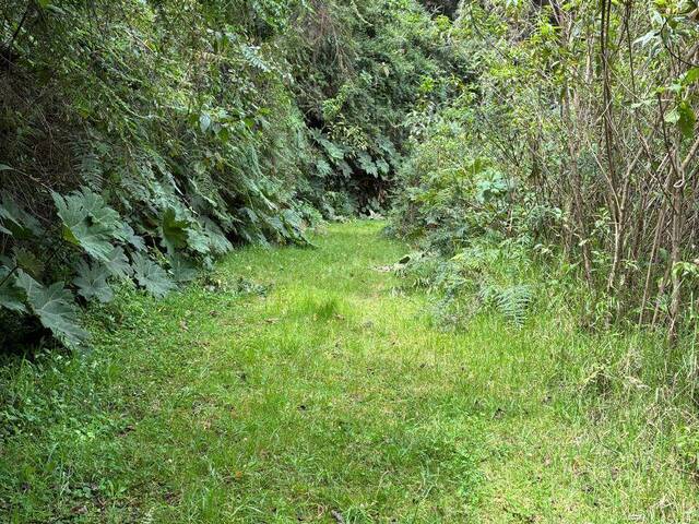 #TR0024 - Terreno para Venta en Quito - P - 2