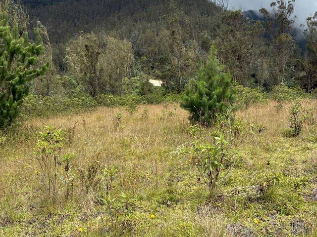Terreno para Venta en Quito - 4