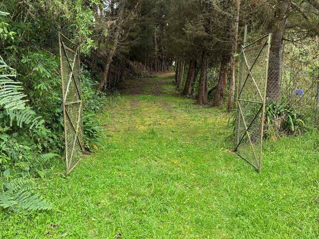 Terreno para Venta en Quito - 5